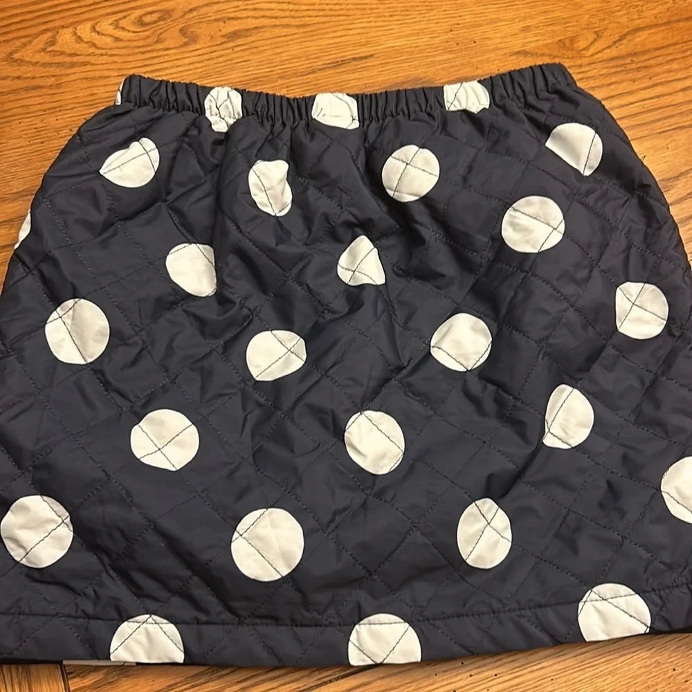 Gymboree Skirt/6